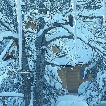 Semesterbostad W Raju *