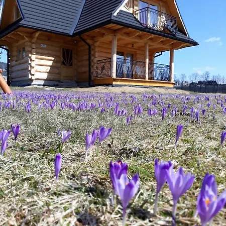 W Raju Semesterbostad Kościelisko