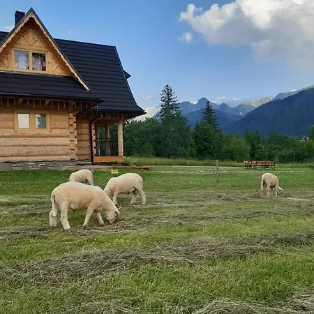 Semesterbostad W Raju Kościelisko
