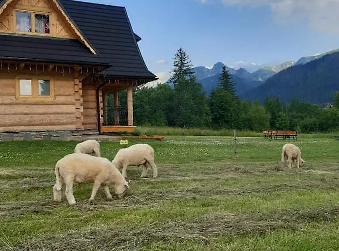 Casa vacanze W Raju Kościelisko